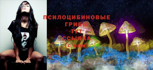 винт Верхний Тагил