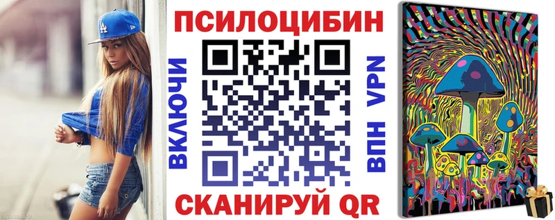 где купить   Миньяр  MEGA ТОР  Псилоцибиновые грибы мицелий 